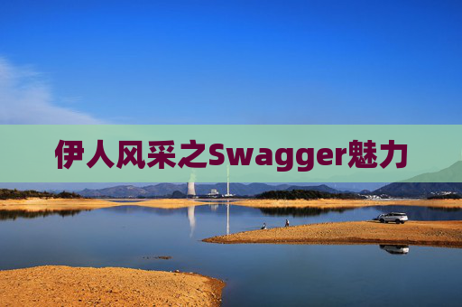 伊人风采之Swagger魅力